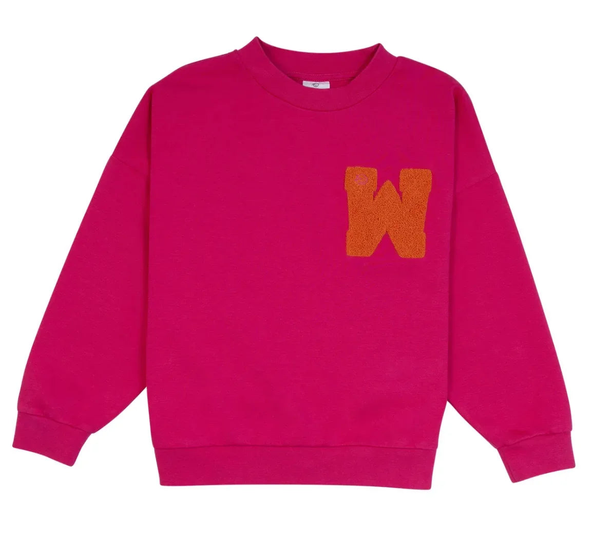 Girls and Boys Print Sweatshirts in a Variety of Colors