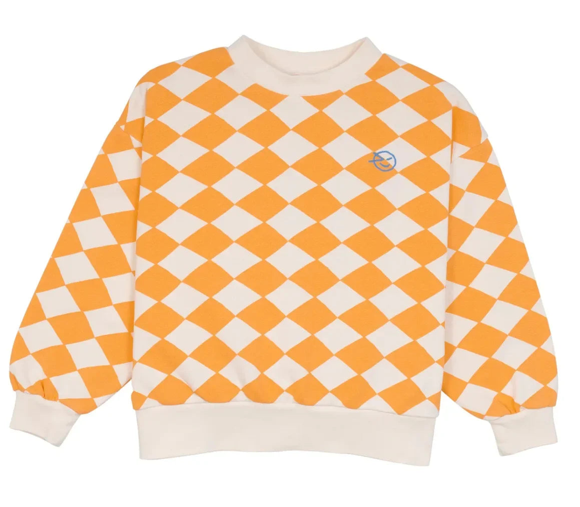 Girls and Boys Print Sweatshirts in a Variety of Colors