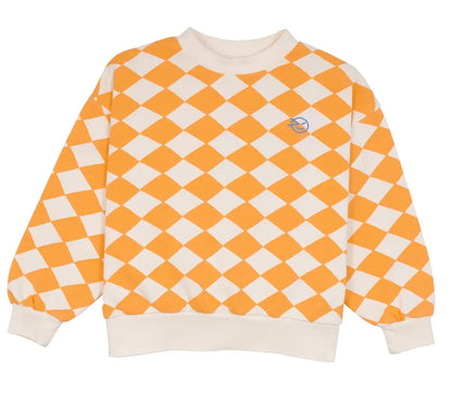 Girls and Boys Print Sweatshirts in a Variety of Colors