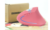 Wireless Right Hand Vertical Mouse Ergonomic Gaming Mouse 2.4G 1600 DPI USB/ New Arrival - Whyte's Electronics And Gadgets